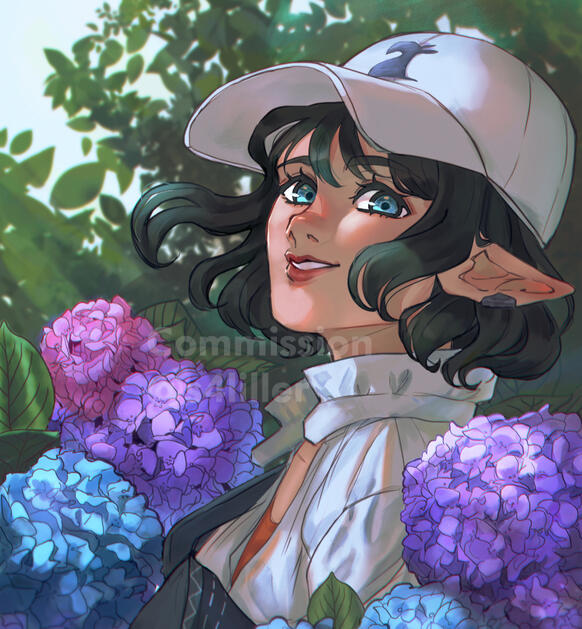 Commission Commission